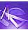 Webmaster and software services